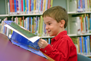 Beginning Reader